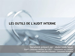 Les outils de l’audit interne