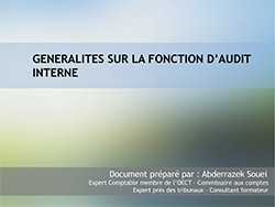 Les conditions de réussite et le manuel des procédures de l’audit interne