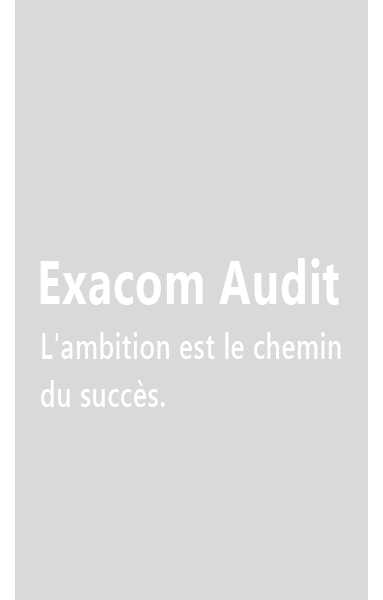 Exacom Audit