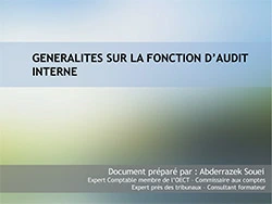 Les conditions de réussite et le manuel des procédures de l’audit interne