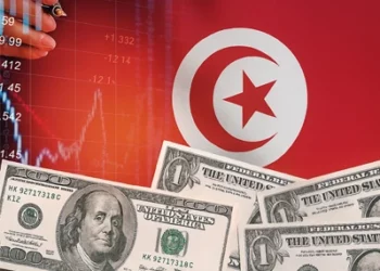 LA LOI N° 41 DE L’ANNÉE 2024 portant réglementation des chèques en Tunisie